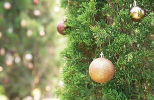 Thuja decorating by Christmas ornament. Tropical Christmas background. photo