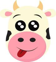 Portrait of the face of a cow with tongue hanging out vector or color illustration