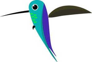 Cartoon colorful colibri bird vector or color illustration