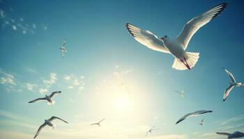 AI generated Seagull flying in nature, blue freedom, outdoors, sunlit beauty generated by AI photo