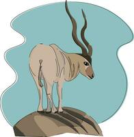 White antelope, vector or color illustration.