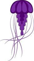 A violet jelly fish, vector or color illustration