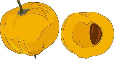 Cartoon yellow egg fruit vector or color illustration
