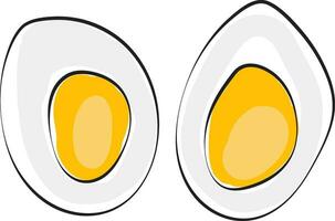 Cut slices of a hard boiled egg vector or color illustration