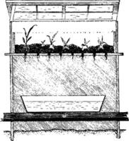 Propagating Frame vintage illustration. vector