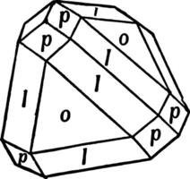 biselado tetraedro, Clásico ilustración. vector