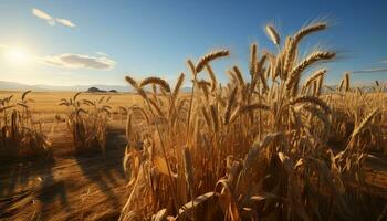 ai generado puesta de sol terminado un dorado trigo campo, naturaleza abundante agrícola belleza generado por ai foto