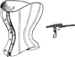 Corset Fastener is a garment worn vintage engraving. vector