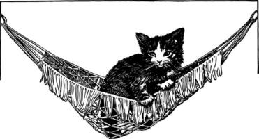 Cat in Hammock vintage illustration. vector
