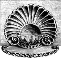 Engraving is in the style of a sea shell, vintage engraving. vector