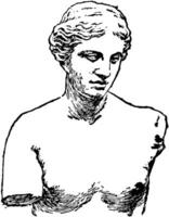 Venus of Melos vintage illustration. vector