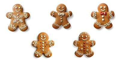 ai generado pan de jengibre mujer Galleta para Navidad en contra blanco antecedentes. aislado en blanco. foto