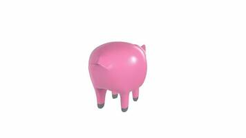 3d Rendering Of Pig Animal video