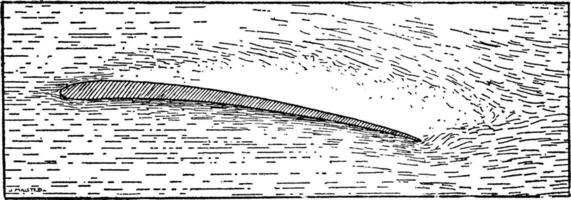 Aerodynamic of Airplane Wing, vintage illustration. vector