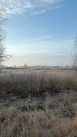 Cold autumn morning. Frosty autumn morning. Frost in the autumn landscape photo
