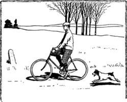 Man Riding Bicycle, vintage illustration vector