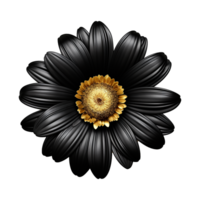 ai generado gerbera flor aislado en transparente antecedentes png