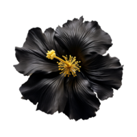 AI generated Black gold  flower isolated on Transparent background png