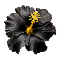 ai generiert schwarz Gold Blume isoliert auf transparent Hintergrund png