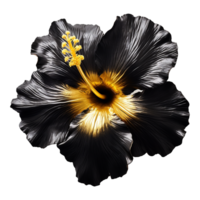 AI generated Black gold  flower isolated on Transparent background png