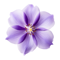 AI generated Watercolor violet flower isolated on Transparent background png