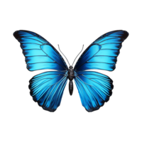 AI generated Butterfly png isolated on transparent background