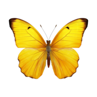 ai generado mariposa png aislado en transparente antecedentes