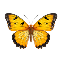 ai generiert Schmetterling png isoliert auf transparent Hintergrund