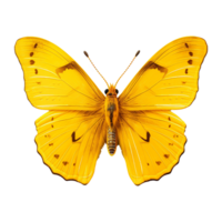 AI generated Butterfly png isolated on transparent background