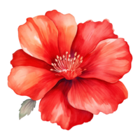 AI generated Watercolor Red flower isolated on Transparent background png