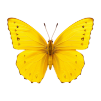 AI generated Butterfly png isolated on transparent background