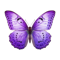 ai généré papillon png isolé sur transparent Contexte