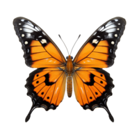 AI generated Butterfly png isolated on transparent background