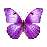 ai generiert Schmetterling png isoliert auf transparent Hintergrund