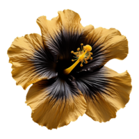 ai gerado Preto ouro hibisco flor isolado em transparente fundo png