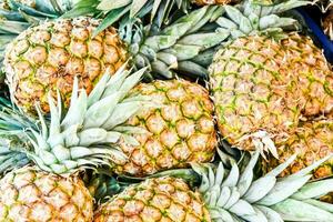 pineapples are piled up in a blue container photo