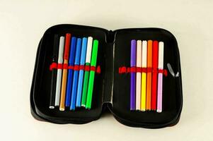 a pencil case with several colored pencils inside photo