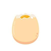 Egg vector. Egg on white background. vector
