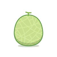 Melon character design. melon on white background. Melon cartoon. vector