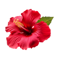 AI generated Red hibiscus flower isolated on transparent background png