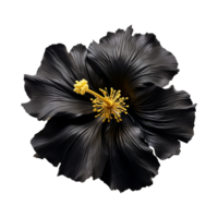 ai gerado Preto ouro hibisco flor isolado em transparente fundo png