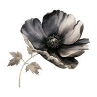 AI generated Watercolor Black flower isolated on Transparent background png