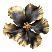 AI generated Black gold  hibiscus flower isolated on transparent background png