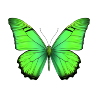 AI generated Butterfly png isolated on transparent background