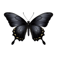 AI generated Butterfly png isolated on transparent background