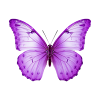 ai generiert Schmetterling png isoliert auf transparent Hintergrund