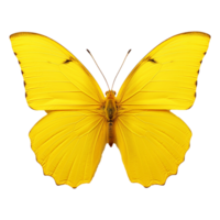 AI generated Butterfly png isolated on transparent background