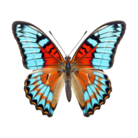 ai generado mariposa png aislado en transparente antecedentes