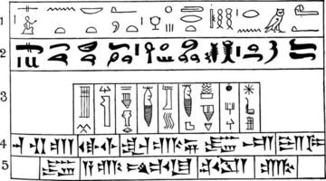 Beginning of Written Language or hieroglyphics vintage engraving. vector