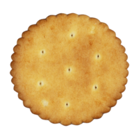 tasty cookie bun isolated element png